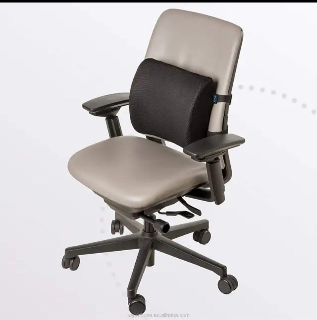 Lumbar Pillow for Back, use it in your car or office.